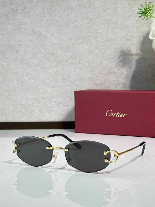 Cartier Glasses smr42